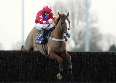 Sire de Grugy is favourite for Champion Chase honours